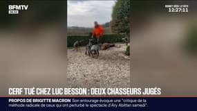 Cerf tué chez Luc Besson: deux chasseurs jugés ce mardi à Argentan (Orne)