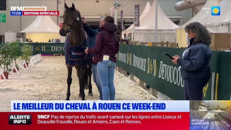 Rouen: le concours de saut équestre Equi Seine se poursuit jusqu'à dimanche