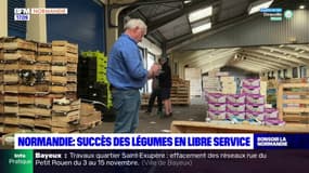 Normandie: le succès des légumes en libre service