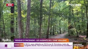 Risque d'incendie: les agents de l'ONF veillent