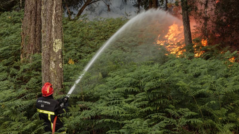 Incendies en Gironde: 5300 hectares ravagés par les flammes, des milliers de personnes évacuées