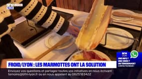 Froid: pour se réchauffer, certains Lyonnais se tournent vers la fondue et la raclette au restaurant Les Marmottes