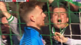 Lukas Hradecky