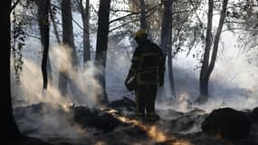 Un pompier se tient parmi les cendres d'un incendie, en Corse, le 12 août 2017