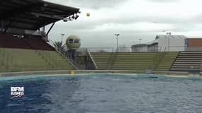 Sursis pour les parcs marins 