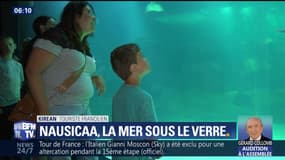 Sur les routes de Nausicaà, la mer sous le verre