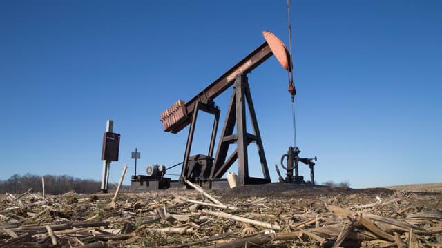 Ce sont peut-être les capitaux chinois qui vont revitaliser les champs pétrolifères texans, pour l'instant désertés par les investissements, sur fond de chute des cours.