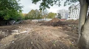 Les arbres de la bergerie de Bagnolet ont été abattus.