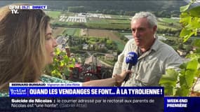 Quand les vendanges se font ... à la tyrolienne ! - 17/09