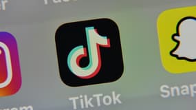 TikTok revendique plus de 100 millions d'utilisateurs aux Etats-Unis. 