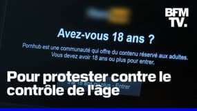 Pornhub, Youporn et Redtube inaccessibles en France à partir de ce mercredi