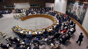 Les Européens ont relancé lundi leur projet de résolution condamnant la répression du mouvement de contestation en Syrie à l'occasion d'une réunion d'urgence du Conseil de sécurité des Nations unies. /Photo d'archives/REUTERS/Mike Segar