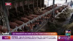 Les versements des aides de la PAC vont avoir du retard
