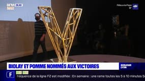 Victoires de la musique: les Lyonnais Benjamin Biolay et Pomme nommés