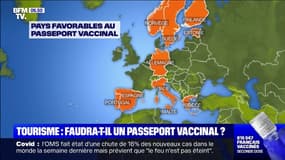 Passeport vaccinal: quels pays européens y sont déjà favorables ?