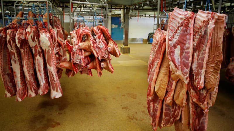 Abattoir français (illustration) - CHARLY TRIBALLEAU / AFP