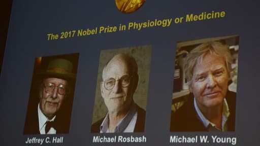 Les gagnants du Prix Nobel de médecine 2017.