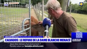 Calvados: le refuge de la Dame blanche menacé