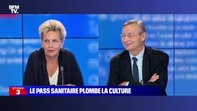 Story 8 : Le pass sanitaire plombe la culture - 27/07