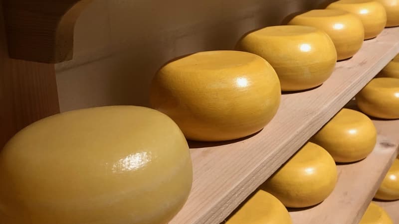 Le gouda est un des produits dans le viseur des Etats-Unis.