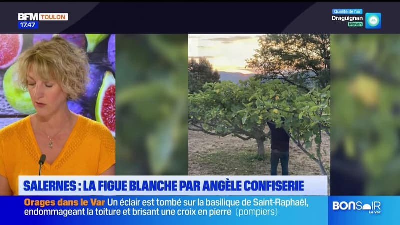 Dans votre assiette du jeudi 5 septembre - Salernes : la figue blanche par Angèle Confiserie