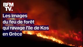 Des centaines de touristes évacués à cause d'un feu de forêt en Grèce 