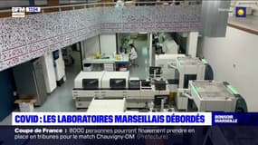 COVID : les laboratoires marseillais débordés