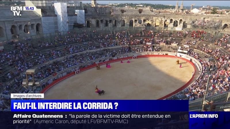Faut-il interdire la corrida ? Le projet de loi qui fait débat