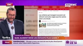 L'humeur de Charles : Quel aliment rend les enfants plus sages ? - 08/04