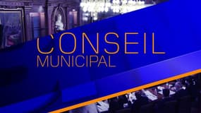 Conseil municipal de Lyon du 16-12-21 en LSF