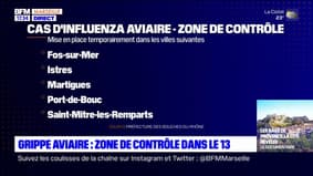 Grippe aviaire: une zone de contrôle instaurée dans les Bouches-du-Rhône