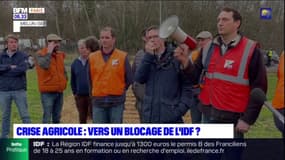 Colère des agriculteurs: vers un blocage de l'Ile-de-France?