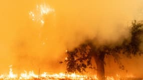 L'incendie LNU Lightning Complex fire se propage à Fairfield (Californie) le 19 août 2020