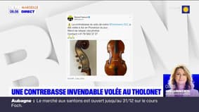 Aix-en-Provence: une contrebasse invendable volée au Tholonet