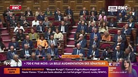 + 700 € par mois : la belle augmentation des sénateurs