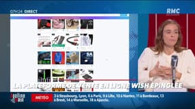 La plateforme de vente en ligne Wish épinglée pour pratiques commerciales trompeuses
