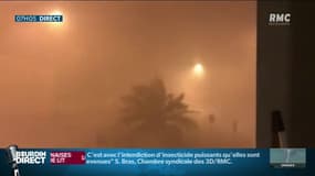 Violents orages près de Toulouse: "Les arbres ont remué dans tous les sens" raconte Damien