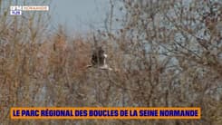 VU D'ICI : Le Parc Régional des Boucles de la Seine normande
