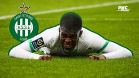 St-Etienne : "La nouvelle génération n'est pas au niveau de la L1" juge Rothen