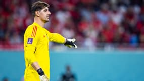 Thibaut Courtois avec la Belgique en novembre 2022