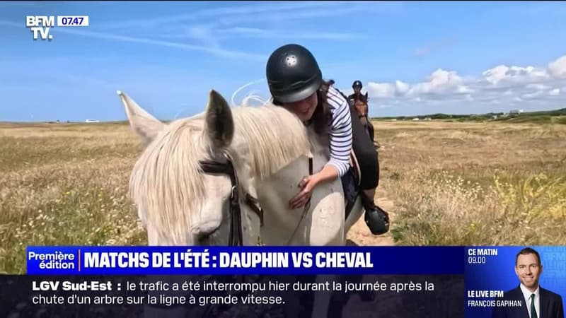 C'est vos vacances : Dauphin VS Cheval - 01/08