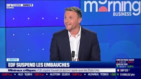 Stéphane Pedrazzi : EDF suspend les embauches - 14/04