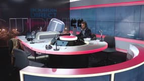 La panthère aperçue et capturée à Armentières kidnappée du zoo