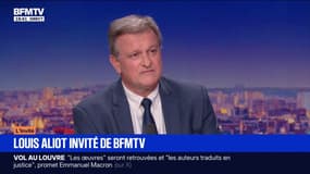 Budget 2026: "Il n'y aura pas d'opposition systématique", explique Louis Aliot, vice-président du RN