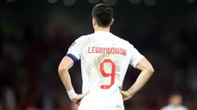 R. Lewandowski