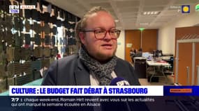 Strasbourg: le conseil municipal examine le budget dédié à la culture