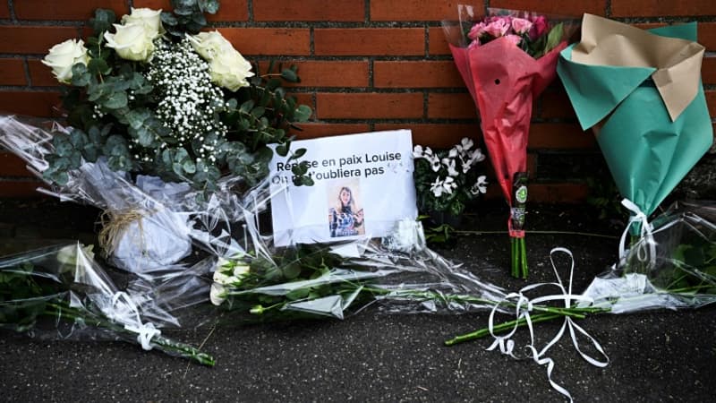 Meurtre de Louise, 11 ans