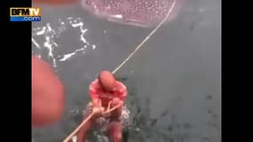 Ils surfent à dos de requin-baleine et s’attirent les foudres des associations de défense de l’environnement