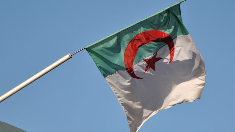 Quelques milliers d'étudiants défilent dans le centre d'Alger ce mardi pour réclamer à nouveau le départ du président Abdelaziz Bouteflika.