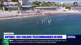 Alpes-Maritimes: un festival de voiliers radiocommandés à Antibes